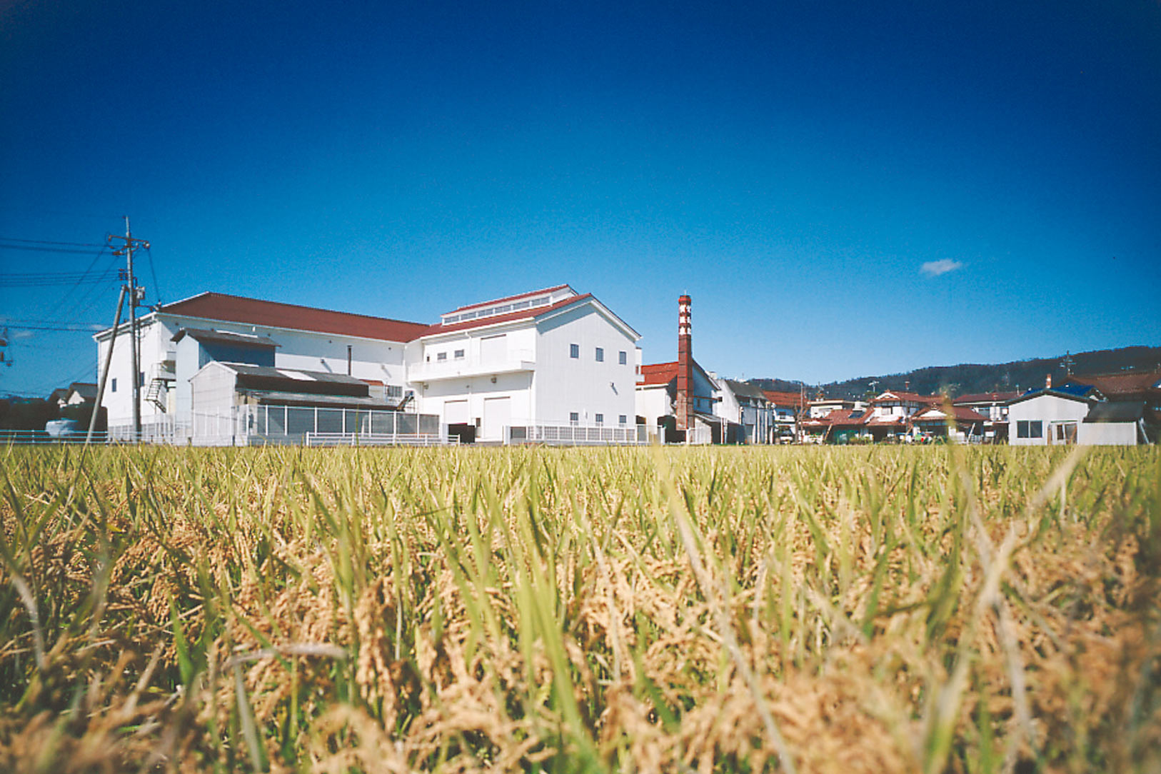 Kamoizumi Brewing Company